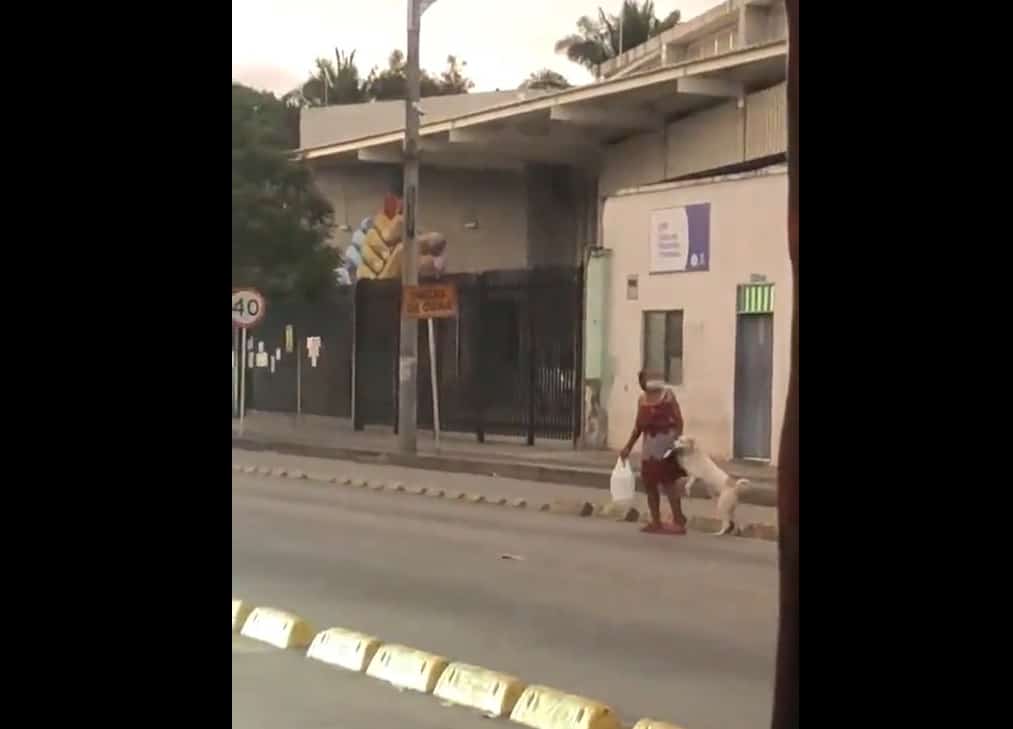 Mujer toma de la mano a su perrito y lo ayuda a cruzar la calle