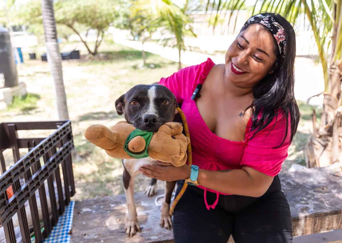 En Solidaridad se promueve la adopción canina y se da trato digno a los animales