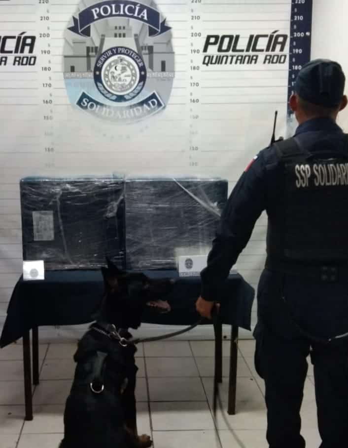 Más 40 envoltorios y 5 cajas con drogas fueron aseguradas por la Policía de Solidaridad
