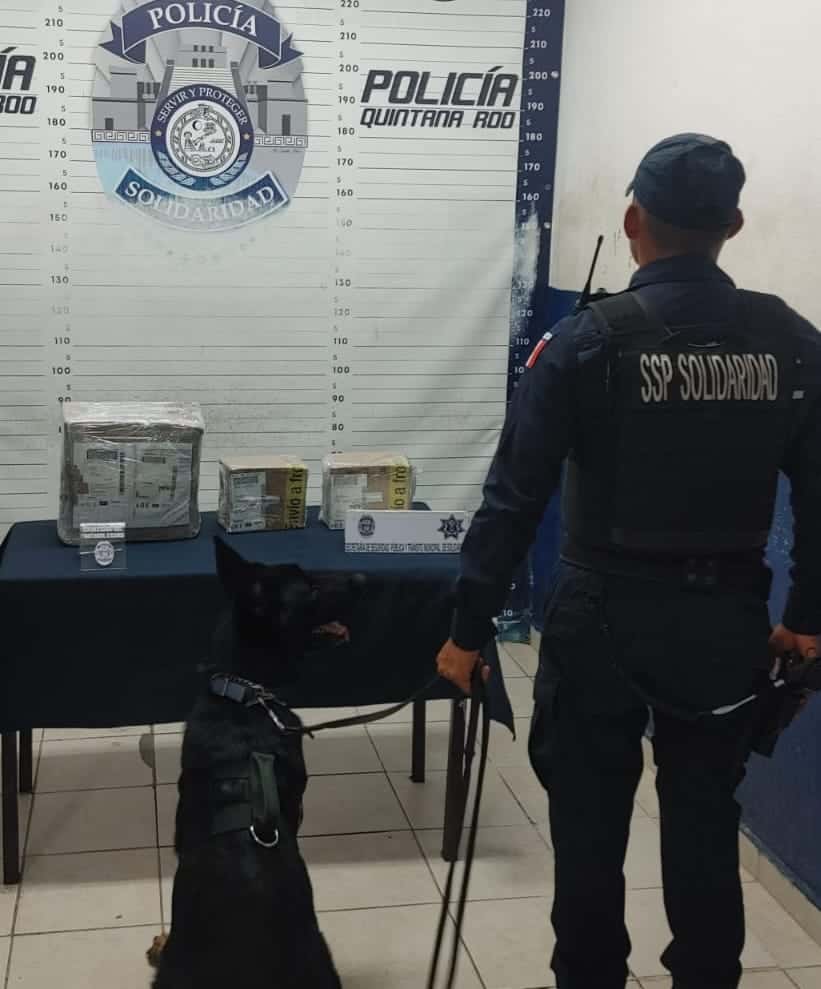 Más 40 envoltorios y 5 cajas con drogas fueron aseguradas por la Policía de Solidaridad