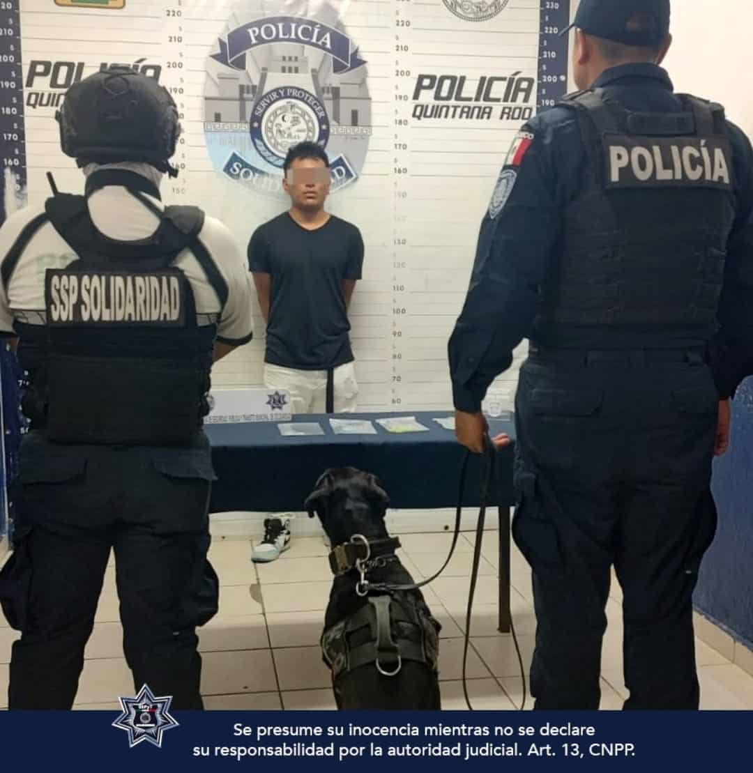 Unidad Canina de Solidaridad asegura 7 cajas con drogas