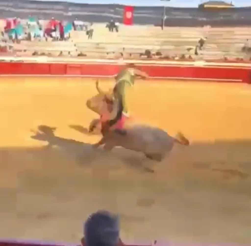 Un toro desafió al torero y lo sacó volando