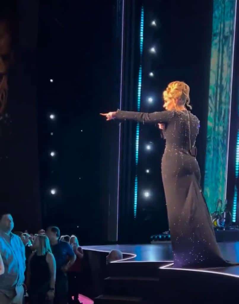Adele interrumpe su concierto para pedirle a guardia de seguridad que no moleste a fan