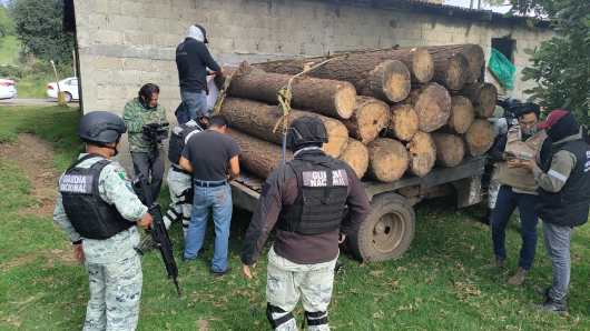 En Morelos, aseguran e inhabilitan un aserradero clandestino