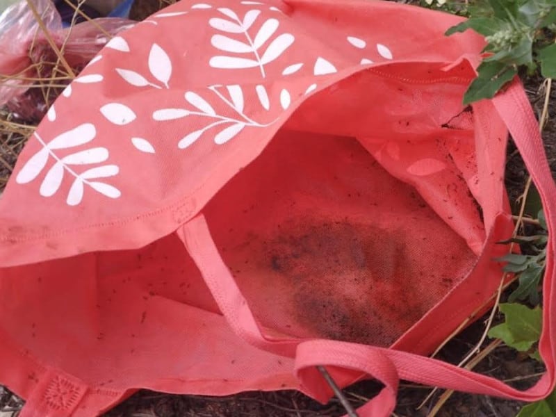 En Hidalgo, abandonan a un bebé dentro de una bolsa de mandado