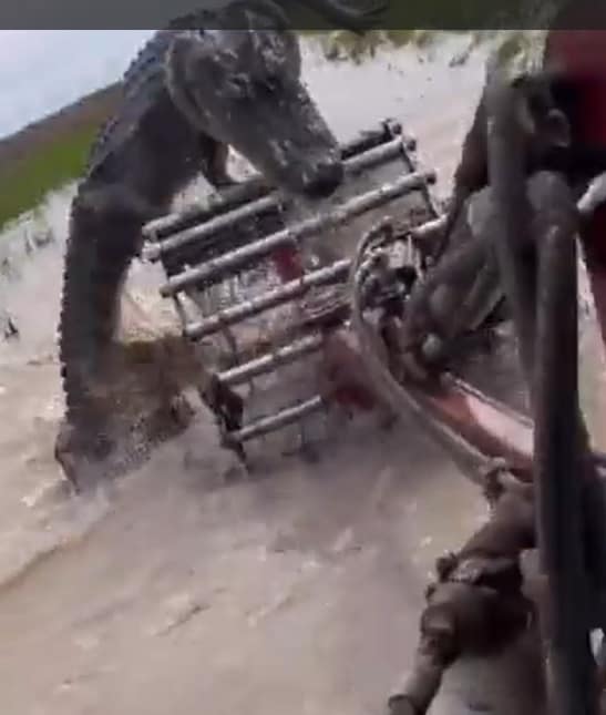 Agricultor de Louisiana tiene un inesperado encuentro con un enorme cocodrilo y vive para contarlo