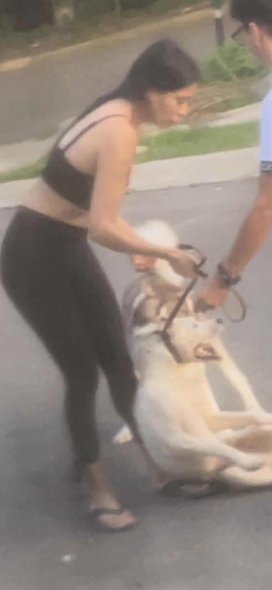 Con la ayuda de su husky, una mujer asesina a un perro en Tonalá