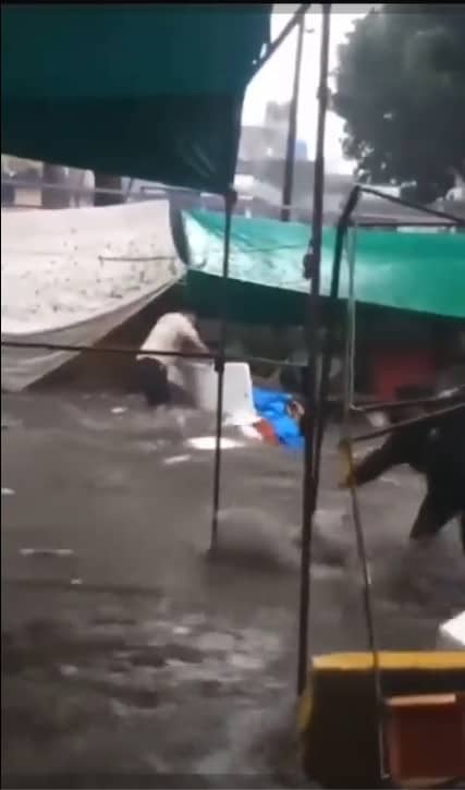 Tormenta provocada por Hilary acaba con tianguis en Iztapalapa