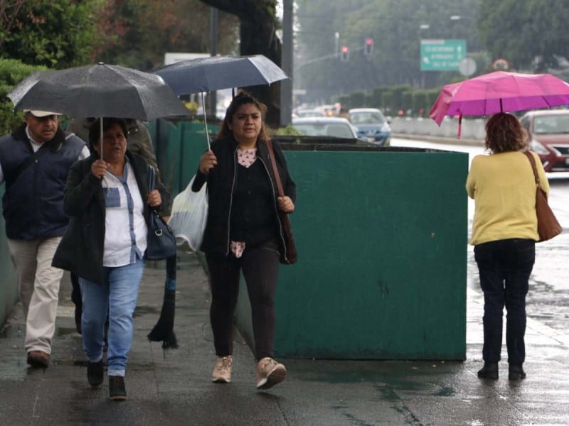Lluvias provocan caída de árboles, encharcamientos y retrasos en el Metro de la CDMX