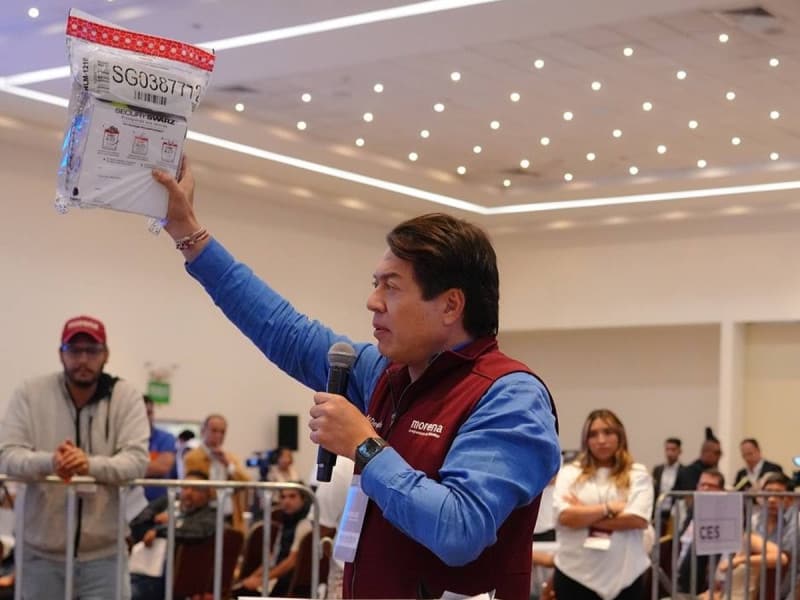 Avanza en un 90% la revisión de boletas de la encuesta por la candidatura presidencial de Morena