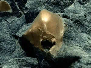 Enigma en el fondo marino de Alaska: científicos desconcertados por el misterioso hallazgo del ‘huevo de oro’