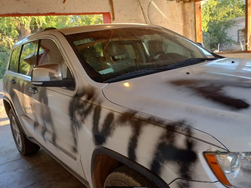 La diputada de Morena reporta que su vivienda y vehículo fueron objeto de vandalismo