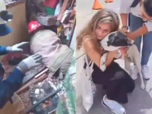 En Colombia perrita es rescatada tras explosión; sobrevivió dos días