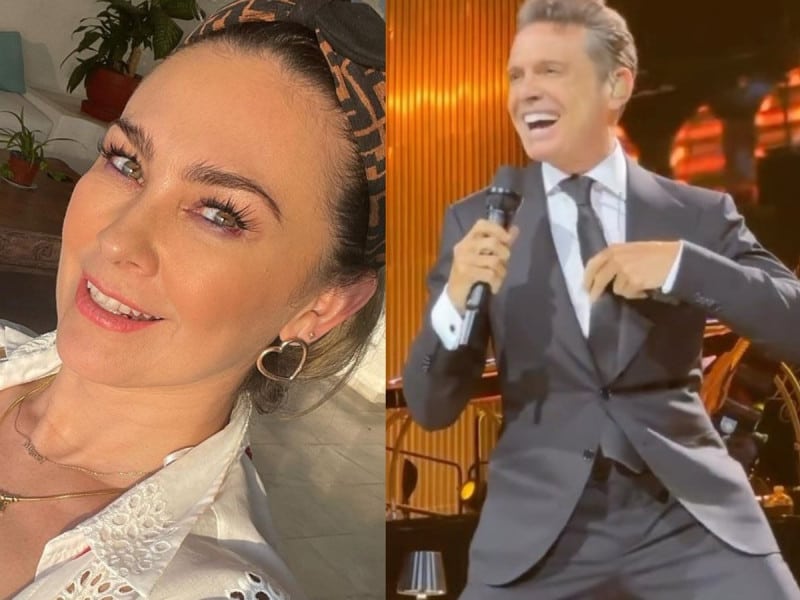 Aracely Arámbula critica a Luis Miguel por no ver a sus hijos desde hace varios años