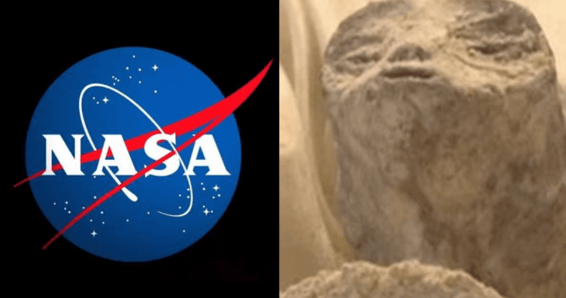 La NASA se pronuncia respecto a los ‘extraterrestres’ presentados por Jaime Maussan