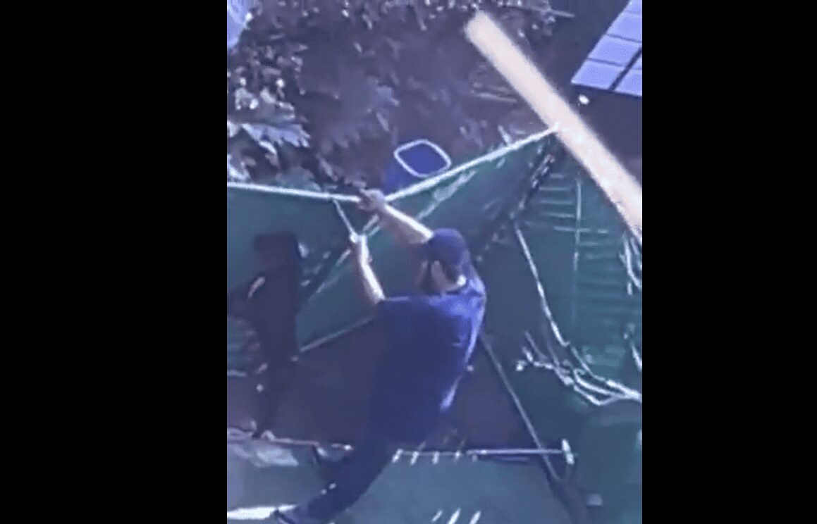 Sujeto golpea a can en un hotel para perros en la CDMX