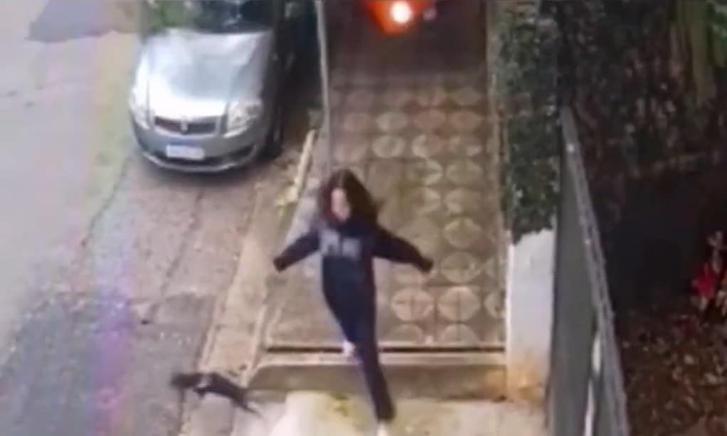 Perrito salva a adolescente de ser atropellada; se quedó olfateando una puerta