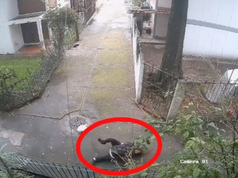 Mujer se resiste a un robo y es arrastrada por un delincuente en Tlalpan