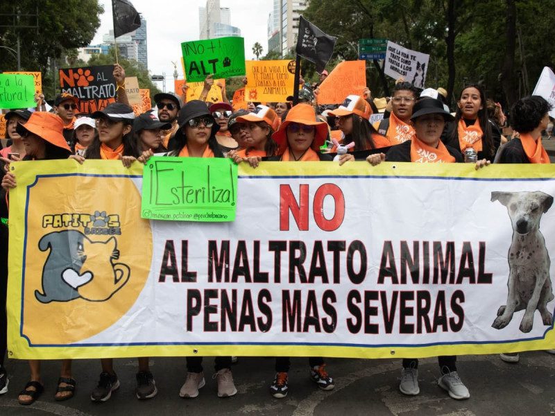 ¡A ver si aprende! Conoce la sentencia de quien aventó a Benito/Scooby a la cazuela de aceite hirviendo