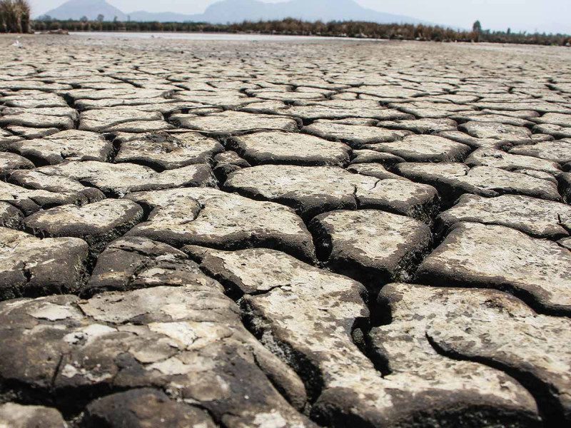 Sinaloa dispone de agua solo para sembrar el 30% de su superficie agrícola