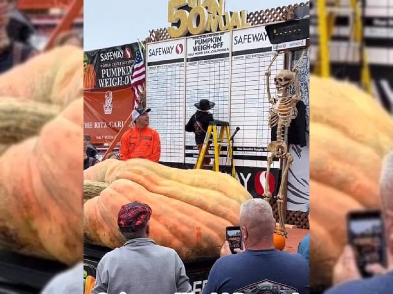 ¡Se ha establecido un nuevo récord para la calabaza más grande del mundo con un peso de más de mil 246 kilos!