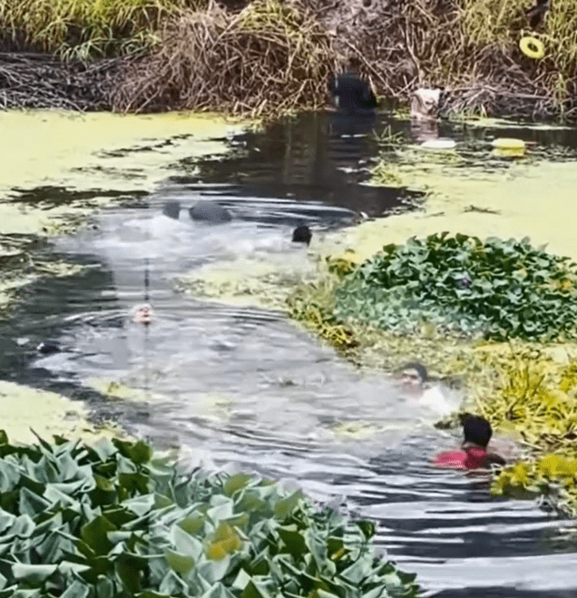 Migrante venezolano estuvo al borde de la asfixia en el Río Bravo, pero fue rescatado por un compatriota