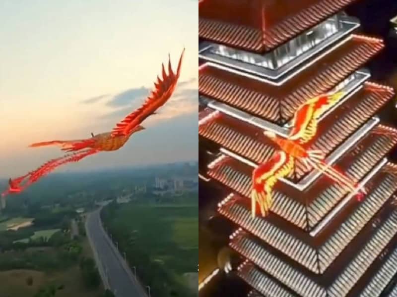 En China, un hombre crea un cometa de fénix con un dron y sobrevuela los cielos