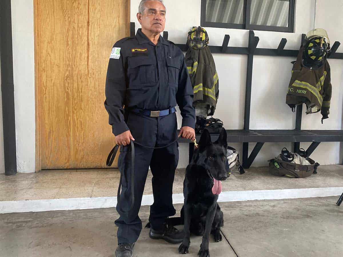 Lomitos son preparados por bomberos para labores de rescate