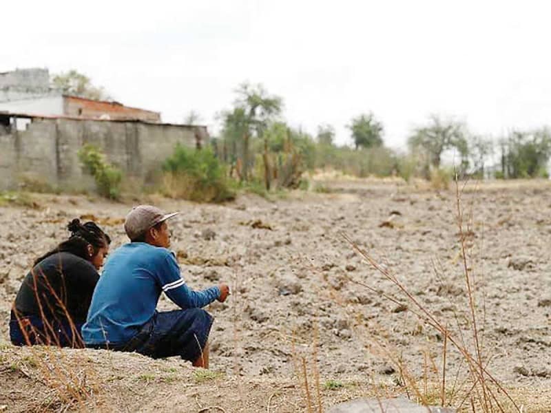 Productores agrícolas de 19 municipios en Oaxaca acusan a empresas avícolas y porcícolas de utilizar avionetas rompenubes; sufren la escasez de maíz