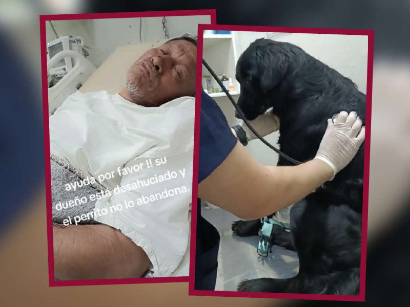 Antes de morir hombre envía conmovedor mensaje: ¡que alguien adopte a su perrito! y se viraliza