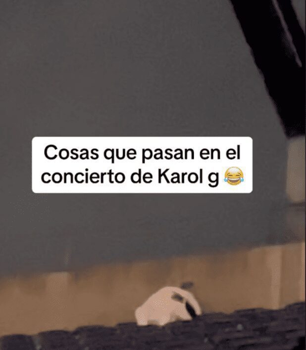 Pareja aprovecha la ocasión para tener relaciones sexuales durante el concierto de Karol G