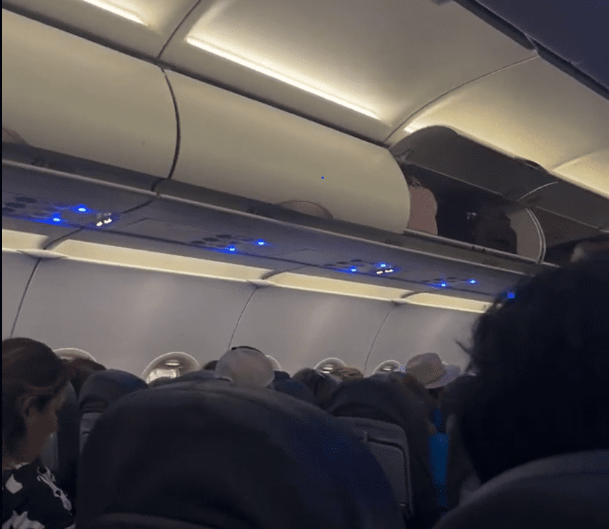 Plaga de mosquitos causa caos en un vuelo de Volaris con destino a la Ciudad de México