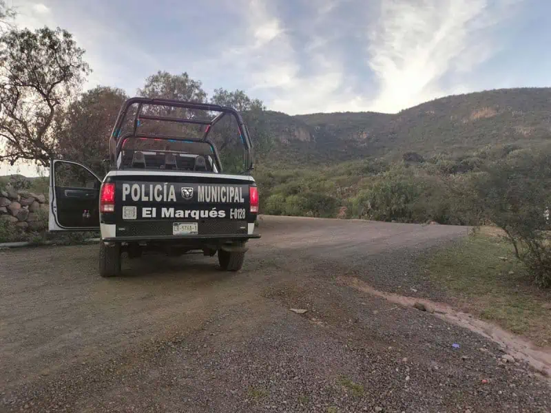 Cinco muertos y cinco heridos deja balacera ocurrida durante una carrera clandestina de caballos en Querétaro
