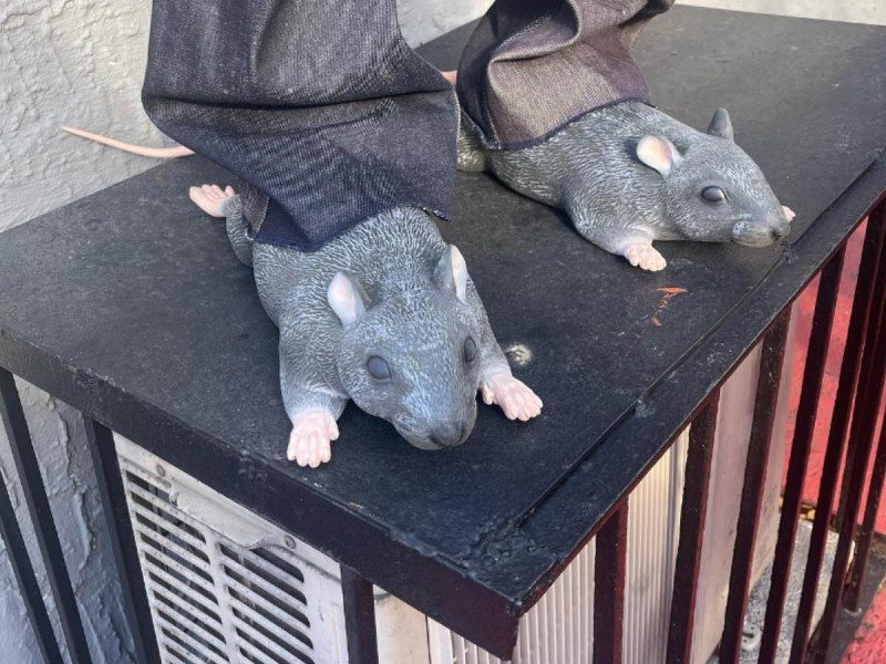 Sandalias de rata diseñadas por un creador causan controversia