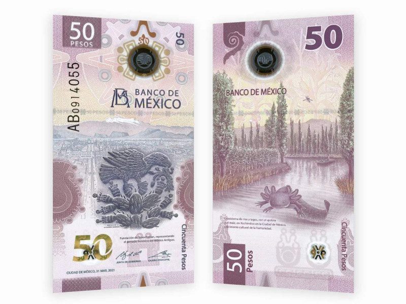 Venta de billete de 50 pesos con ajolote alcanza los 400 mil pesos