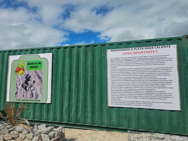 Turistas extranjeros invaden área de tortugas en BCS; matan una tortuga