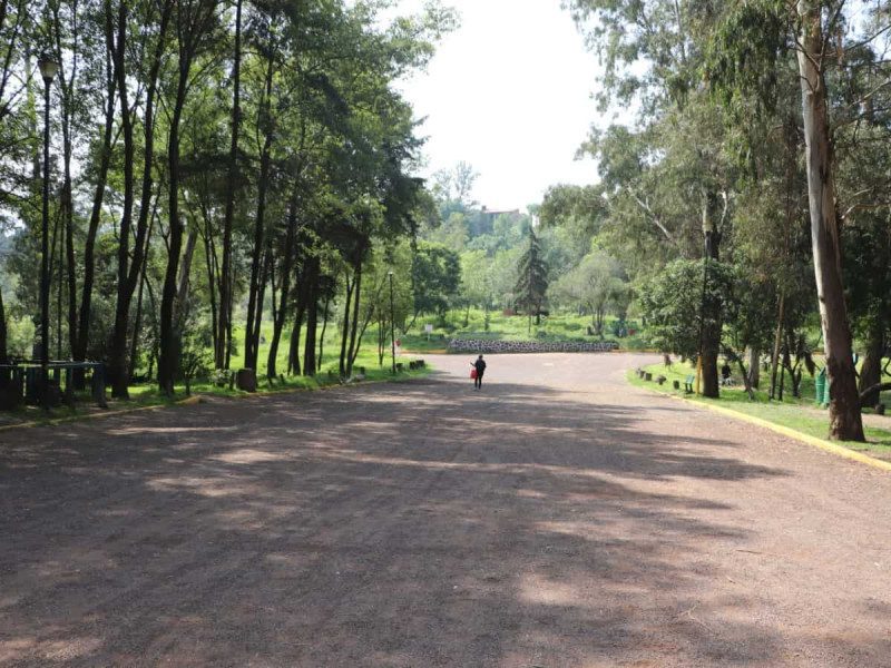 Brigada activa dispositivo por sacrificio de perros en Xochimilco