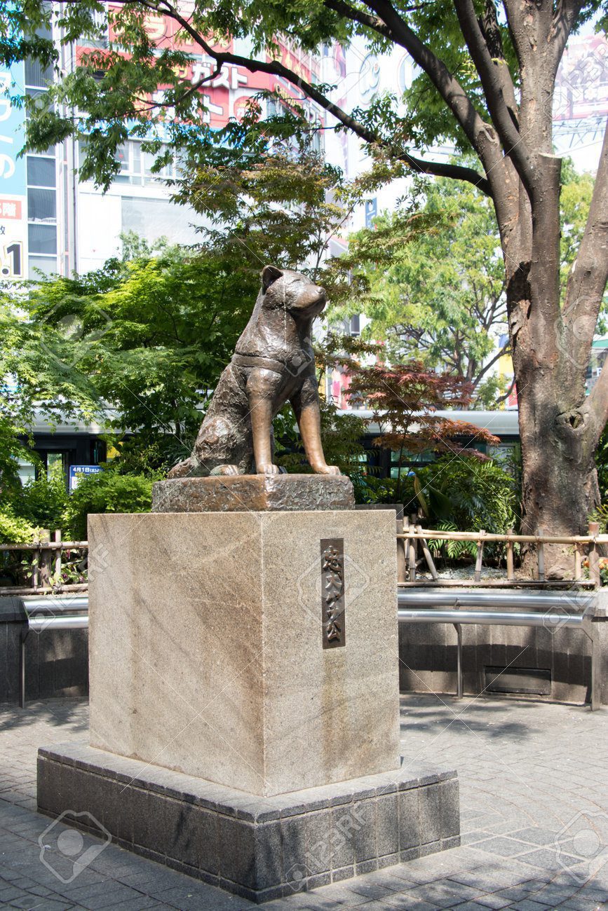En Tokio celebran el centenario de Hachiko, el perro más leal del mundo