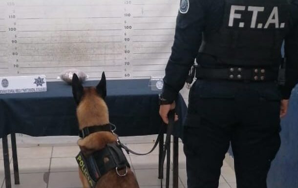 Policía de Solidaridad asegura paquete con droga