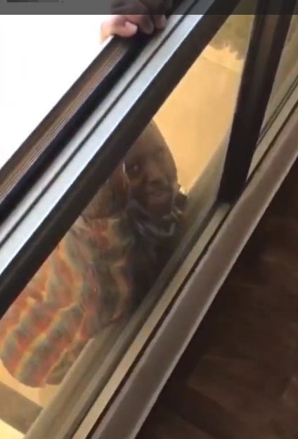 Derechos laborales para empleadas domésticas en Kuwait siguen inciertos