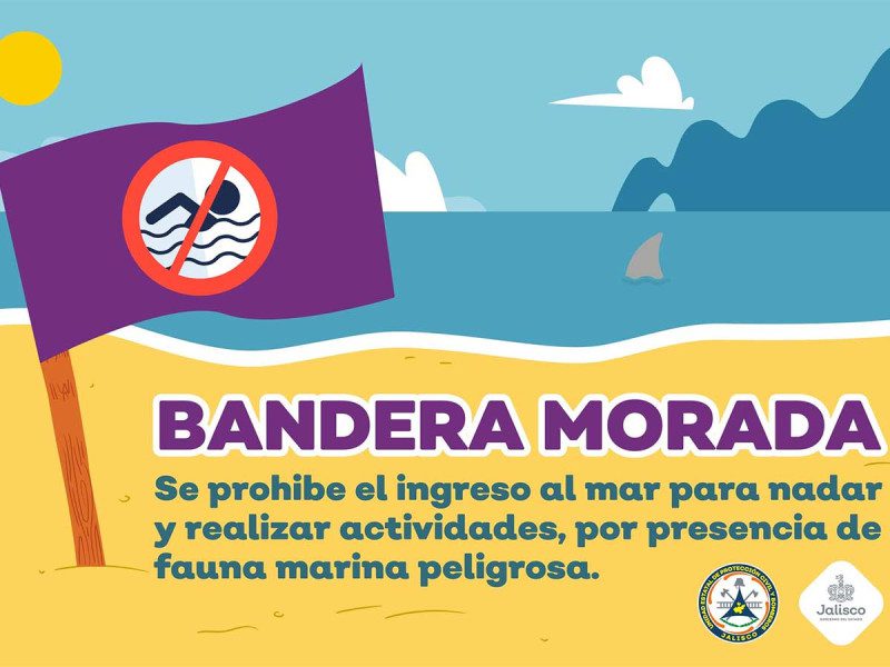 ¿Cuál es el simbolismo de los colores en las banderas de la playa?