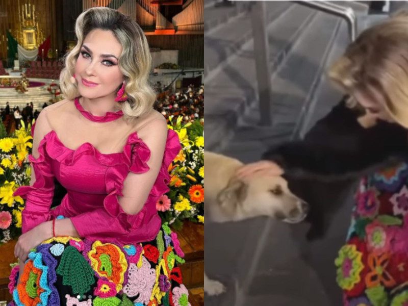¿Aracely Arámbula adoptó al tierno perrito que encontró en la Basílica de Guadalupe?