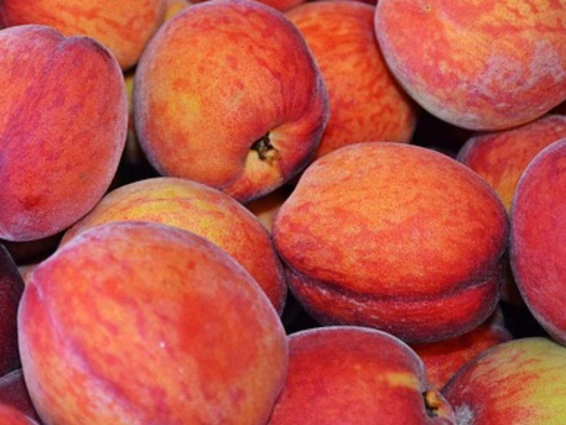 Cofepris alerta por contaminación en frutas de EE. UU.