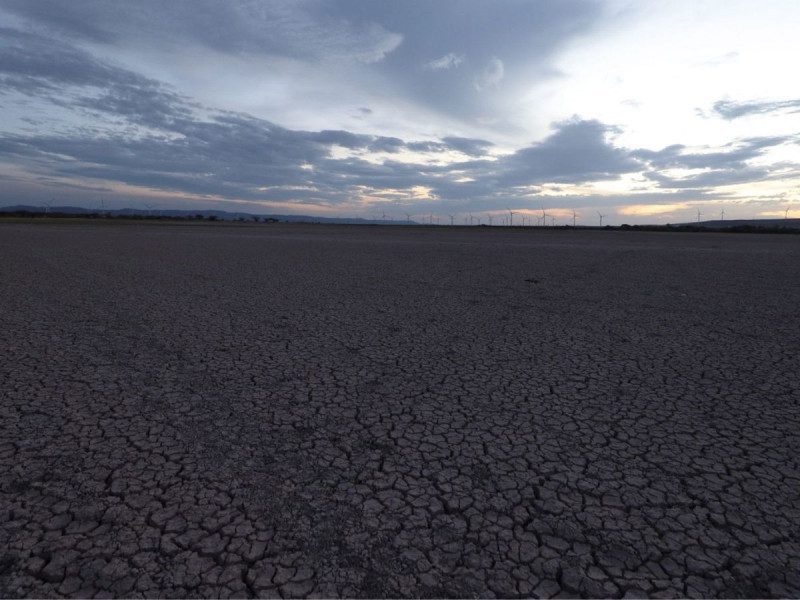 CDMX: Sequía del 2023, segunda más grave del siglo, afecta todas las alcaldías