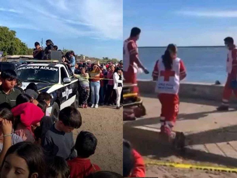 Nuevo ataque de tiburón blanco a buzo en Sonora