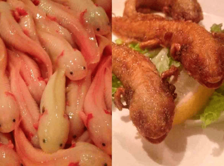 Restaurante en Japón sirve ajolotes fritos
