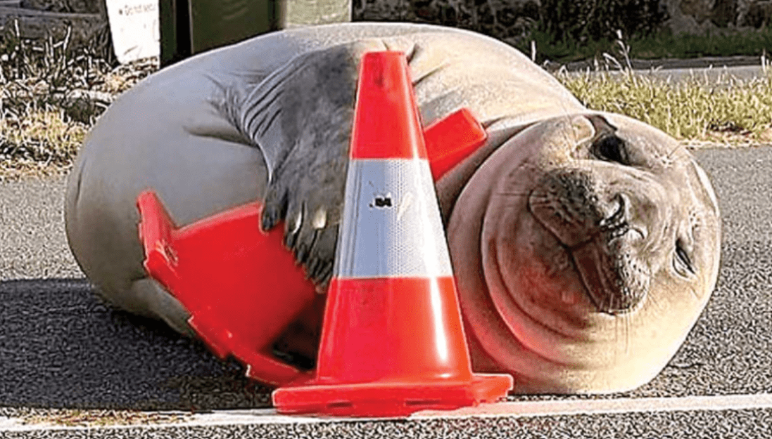 Parece broma, pero… esto pasó en el mundo en 2023