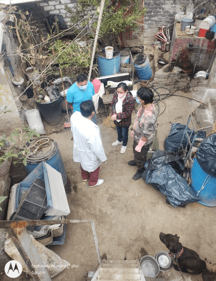 13 pitbulls rescatados de criadero ilegal