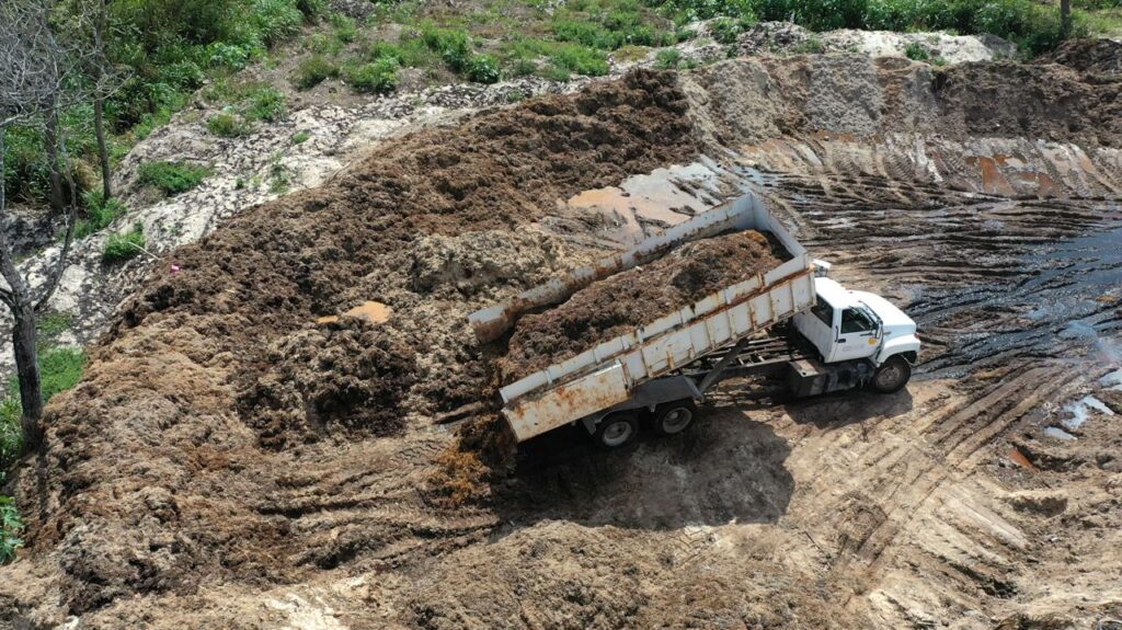 Solidaridad ejemplo en recolección de sargazo y recuperación de arenales