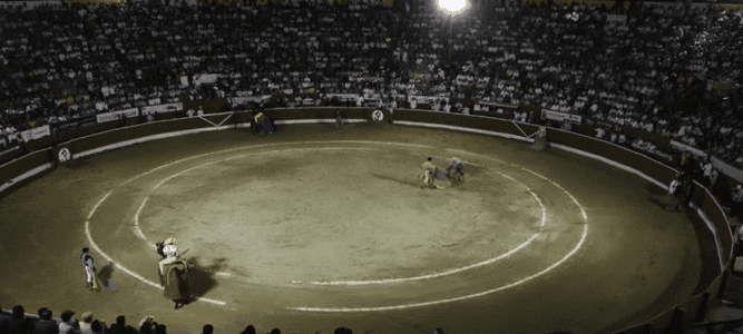 Propuesta legislativa para impedir que menores asistan a corridas de toros o peleas de gallos